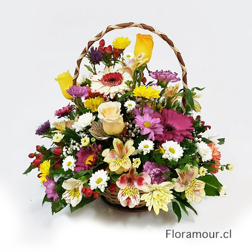 Bella cesta con flores variadas de la estación, muy durable y alegre apta para toda ocasión.